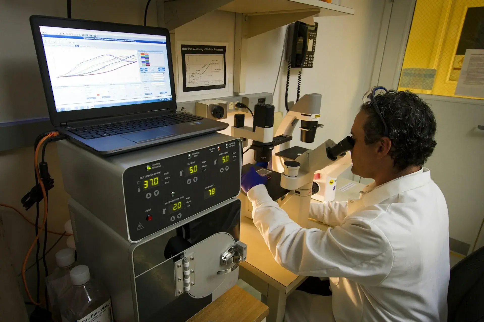 Metabolic research supporting GLP-1 receptor pharmacology studies