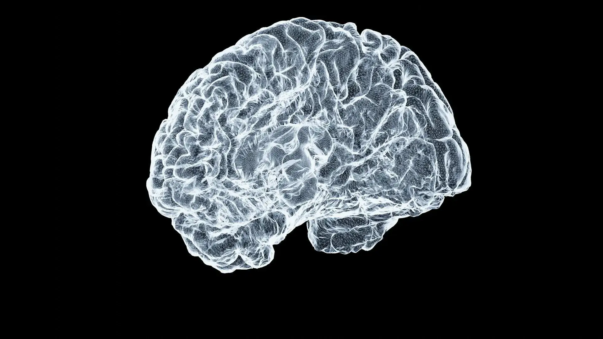 Preclinical laboratory research supporting rodent cerebral ischemia studies