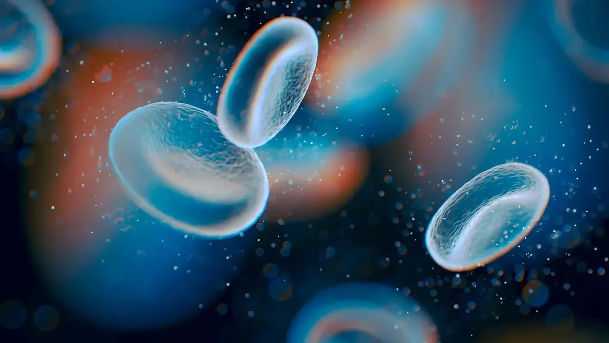 Laboratory view representing humanized mouse immuno-oncology research