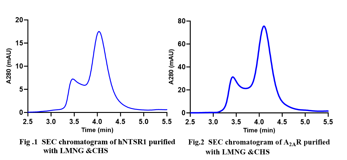 SEC-HPLC chromatograms of hNTSR1 and A₂AR