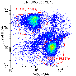 Flow-cytometry panel 4 for mouse blood: CD3⁺ · 36.10%; CD19⁺ · 39.83%
