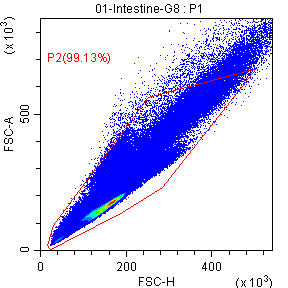 Flow-cytometry panel 2 for mouse intestinal cells: P2 · 99.13%