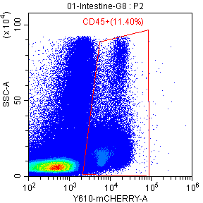 Flow-cytometry panel 3 for mouse intestinal cells: CD45⁺ · 11.40%